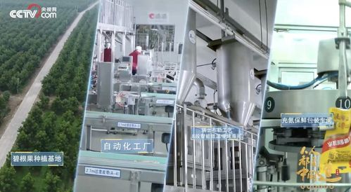 洽洽入選品牌信用建設(shè)典型案例，信息技術(shù)服務(wù)助推民族品牌發(fā)展